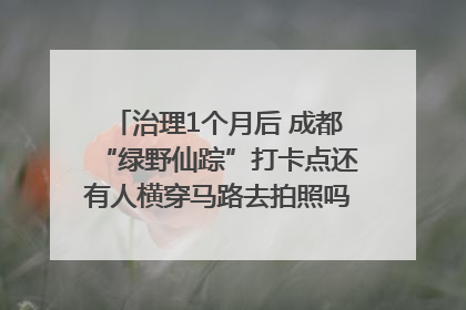 治理1个月后 成都“绿野仙踪”打卡点还有人横穿马路去拍照吗？｜民情瞭望