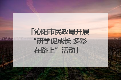 沁阳市民政局开展“研学促成长 多彩在路上”活动