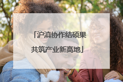 沪滇协作结硕果 共筑产业新高地