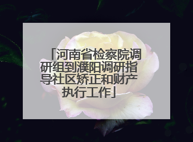 河南省检察院调研组到濮阳调研指导社区矫正和财产执行工作