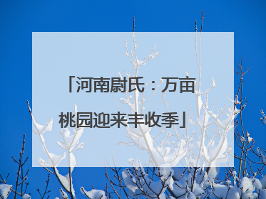 河南尉氏：万亩桃园迎来丰收季
