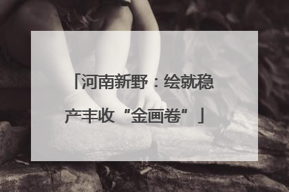 河南新野：绘就稳产丰收“金画卷”