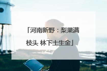 河南新野：梨果满枝头 林下土生金