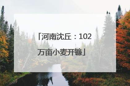 河南沈丘：102 万亩小麦开镰