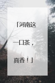 河南这一口茶，真香！