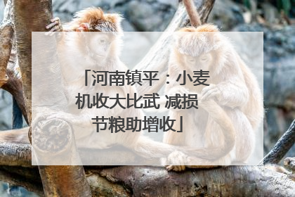 河南镇平：小麦机收大比武 减损节粮助增收