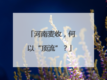 河南麦收，何以“顶流”？