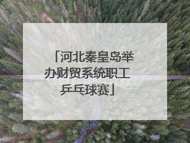河北秦皇岛举办财贸系统职工乒乓球赛