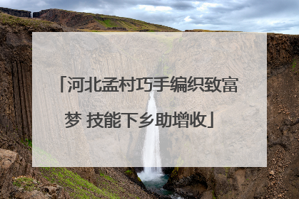 河北孟村巧手编织致富梦 技能下乡助增收