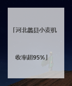 河北蠡县小麦机收率超95%