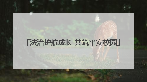 法治护航成长 共筑平安校园