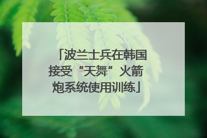 波兰士兵在韩国接受“天舞”火箭炮系统使用训练