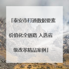 泰安市打通数据要素价值化全链路 入选省级改革精品案例