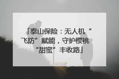 泰山保险：无人机“飞防”赋能，守护樱桃“甜蜜”丰收路
