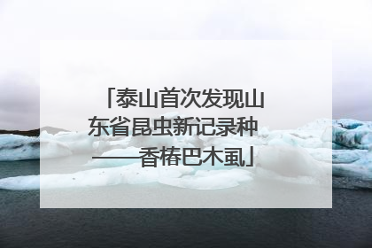 泰山首次发现山东省昆虫新记录种——香椿巴木虱