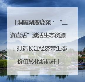 洞庭湖麋鹿苑：“三资盘活”激活生态资源，打造长江经济带生态价值转化新标杆