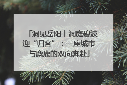 洞见岳阳丨洞庭碧波迎“归客”：一座城市与麋鹿的双向奔赴