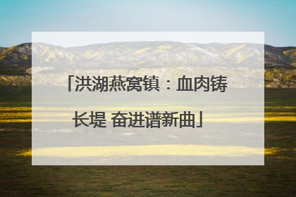 洪湖燕窝镇：血肉铸长堤 奋进谱新曲