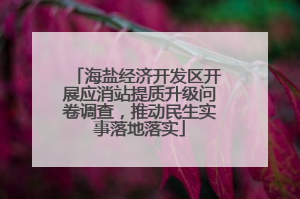 海盐经济开发区开展应消站提质升级问卷调查，推动民生实事落地落实