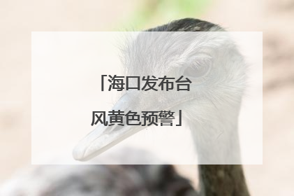 海口发布台风黄色预警