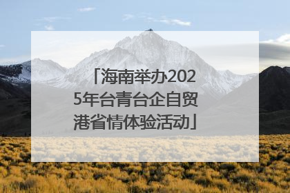海南举办2025年台青台企自贸港省情体验活动