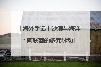海外手记丨沙漠与海洋：阿联酋的多元脉动