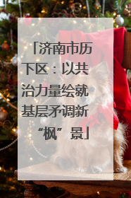 济南市历下区：以共治力量绘就基层矛调新“枫”景