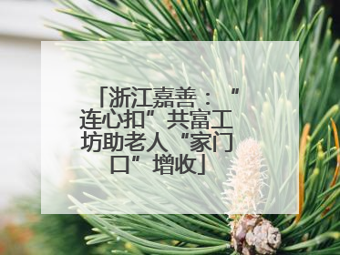 浙江嘉善：“连心扣”共富工坊助老人“家门口”增收