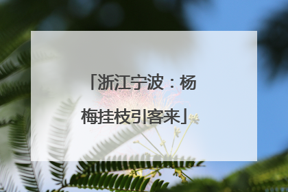 浙江宁波：杨梅挂枝引客来