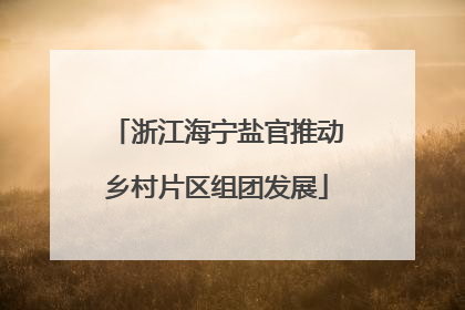 浙江海宁盐官推动乡村片区组团发展