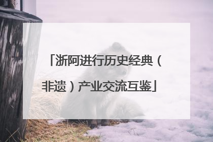 浙阿进行历史经典（非遗）产业交流互鉴