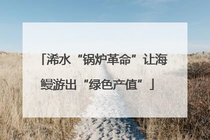浠水“锅炉革命”让海鳗游出“绿色产值”
