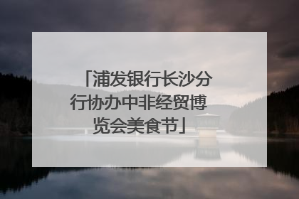 浦发银行长沙分行协办中非经贸博览会美食节