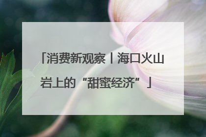 消费新观察丨海口火山岩上的“甜蜜经济”