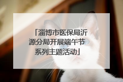 淄博市医保局沂源分局开展端午节系列主题活动