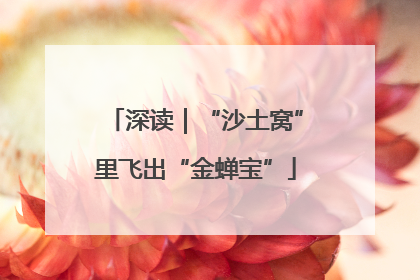 深读｜“沙土窝”里飞出“金蝉宝”