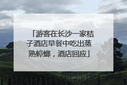 游客在长沙一家桔子酒店早餐中吃出蒸熟蟑螂，酒店回应