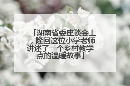 湖南省委座谈会上，隆回这位小学老师讲述了一个乡村教学点的温暖故事