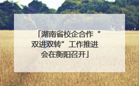 湖南省校企合作“双进双转”工作推进会在衡阳召开