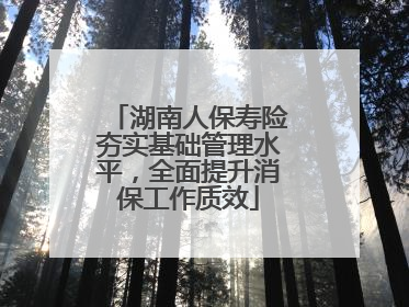湖南人保寿险夯实基础管理水平，全面提升消保工作质效