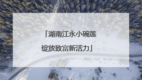 湖南江永小碗莲绽放致富新活力