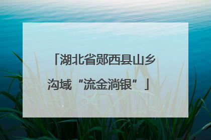 湖北省郧西县山乡沟域“流金淌银”