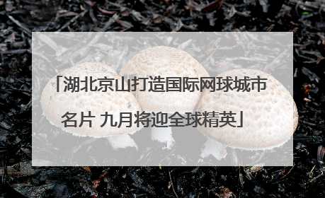 湖北京山打造国际网球城市名片 九月将迎全球精英