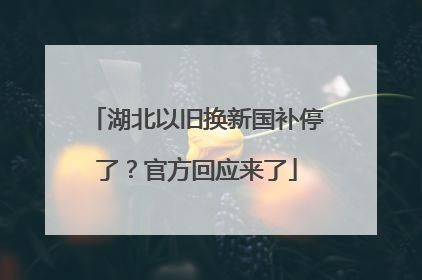 湖北以旧换新国补停了？官方回应来了