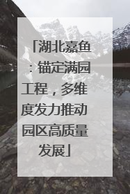 湖北嘉鱼：锚定满园工程，多维度发力推动园区高质量发展