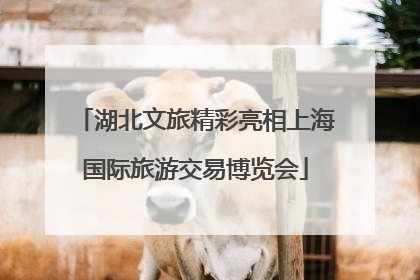 湖北文旅精彩亮相上海国际旅游交易博览会
