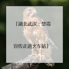 湖北武汉：禁毒宣传走进火车站