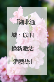 湖北通城：以旧换新激活消费热
