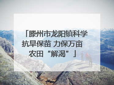 滕州市龙阳镇科学抗旱保苗 力保万亩农田“解渴”
