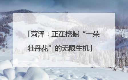 菏泽：正在挖掘“一朵牡丹花”的无限生机